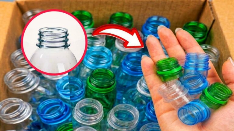 5 sposobów na wykorzystanie niepotrzebnej części butelki – odkryj sekret!