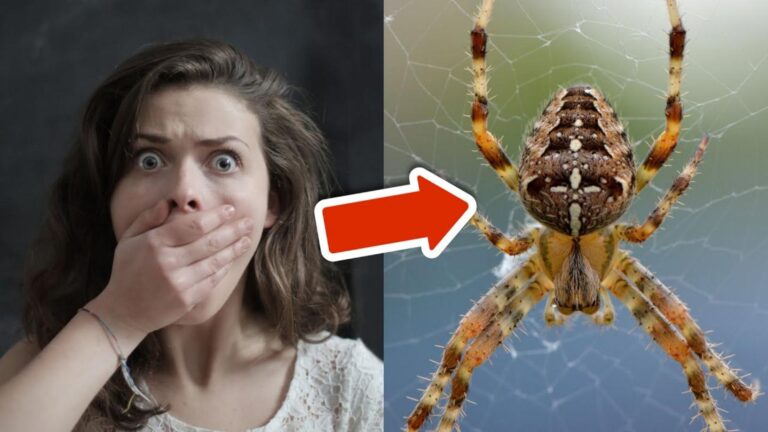 7 sposobów, jak zakwitnąć orchideę bez kwiatów – odkryj tajemnice pielęgnacji!