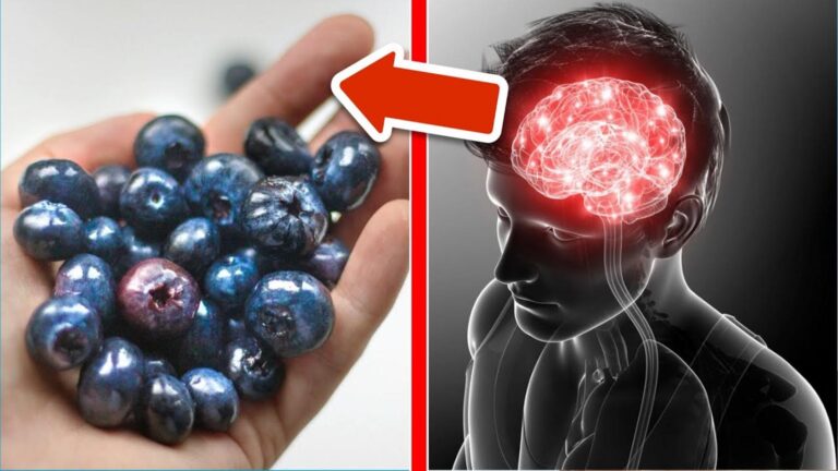10 superfoods, które odmłodzą Twój mózg i dodadzą energii!